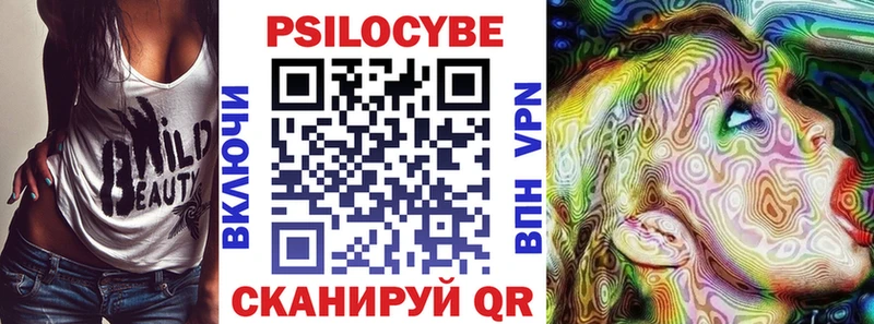 Псилоцибиновые грибы Cubensis  Купить закладки  Вихоревка 